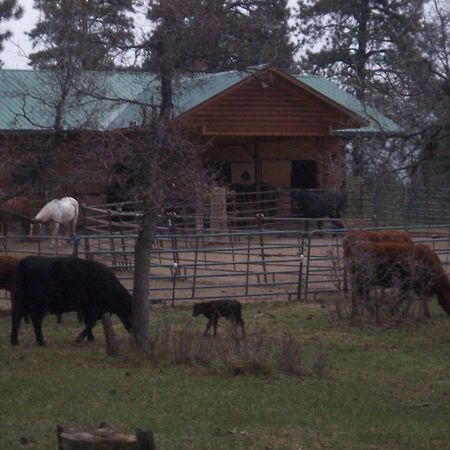 Elktrace Bed And Breakfast Pagosa Springs Luaran gambar