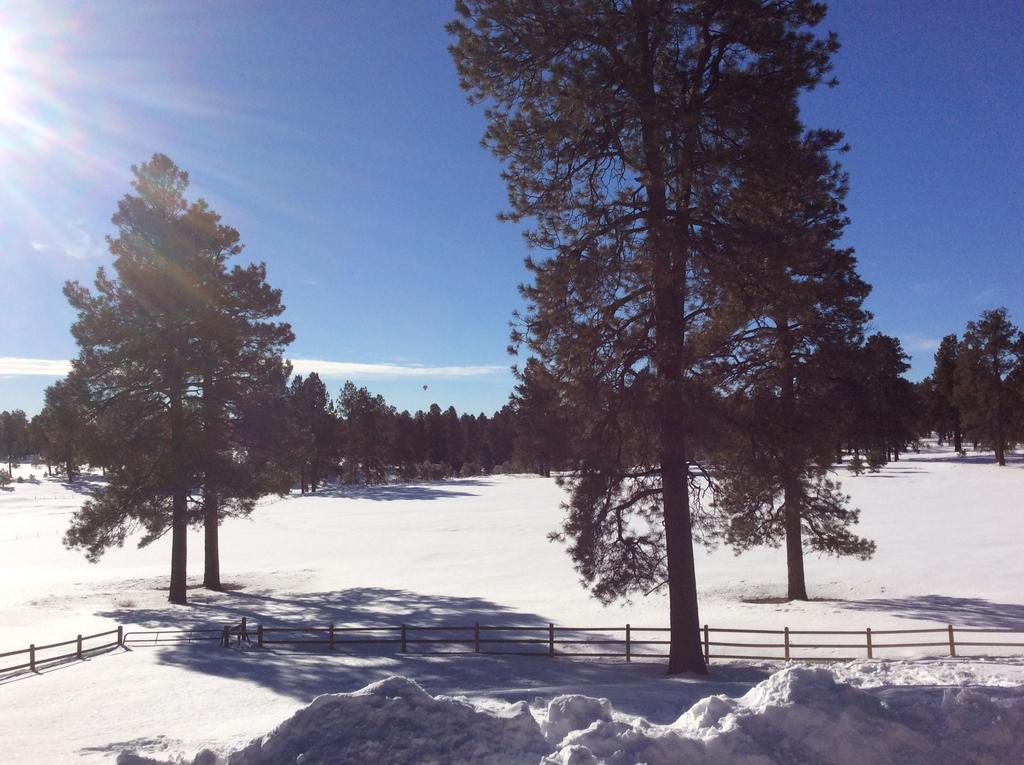 Elktrace Bed And Breakfast Pagosa Springs Luaran gambar