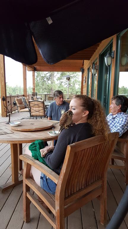 Elktrace Bed And Breakfast Pagosa Springs Luaran gambar