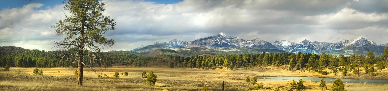 Elktrace Bed And Breakfast Pagosa Springs Luaran gambar